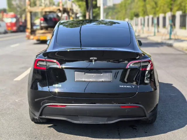 Tesla Model Y — Фото автомобиля 8