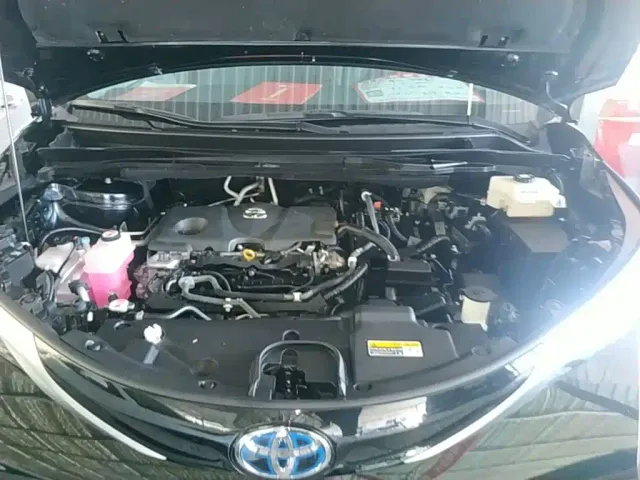 Toyota Toyota Sienna 2021 2.5L Hybrid Luxury Edition — Фото автомобиля 19