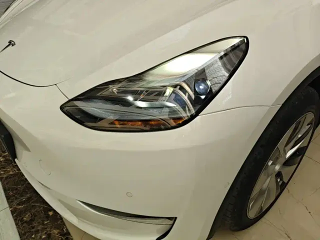Tesla Model Y — Фото автомобиля 23