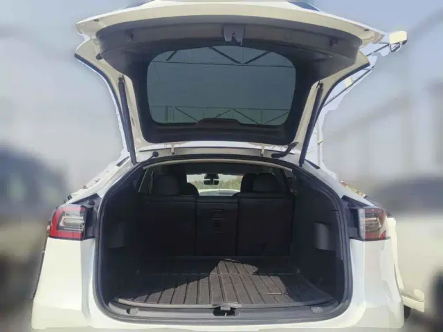 Tesla Model Y — Фото автомобиля 5