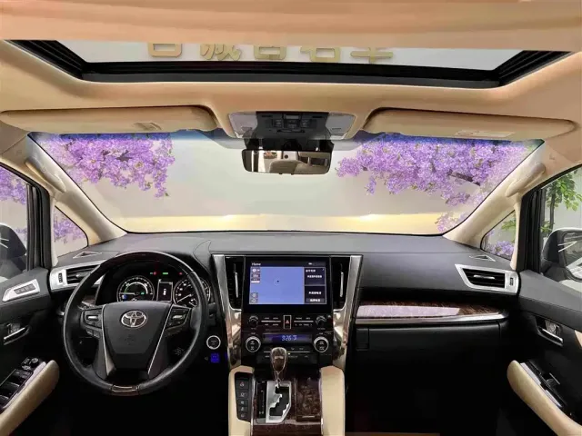 Toyota Alphard — Фото автомобиля 13