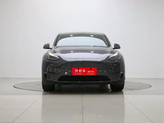 Tesla Model Y — Фото автомобиля 2