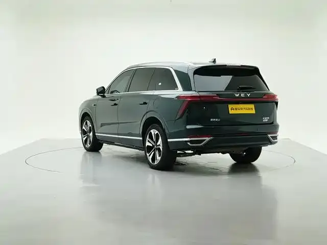 Wey Lanshan — Фото автомобиля 11