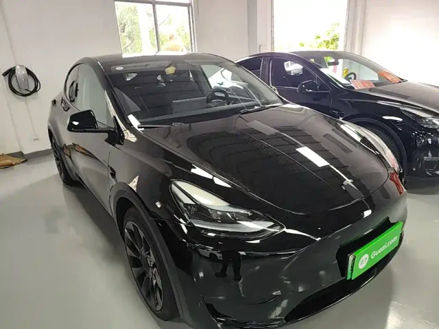 Tesla Model Y — Фото автомобиля 3