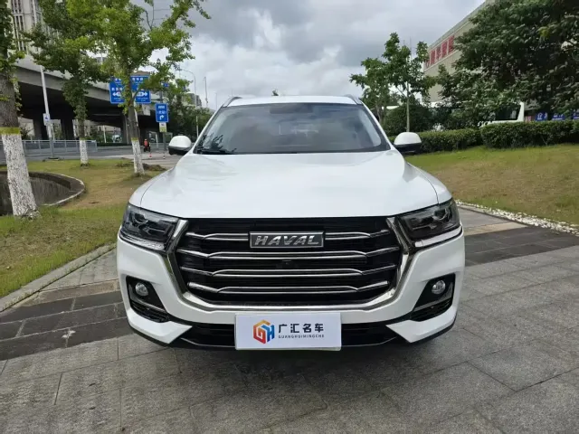 Haval Haval H6 2021 Model National Trend Edition 1.5T Auto Champion — Фото автомобиля 2
