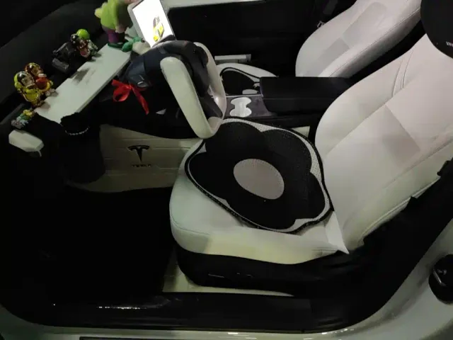 Tesla Model 3 — Фото автомобиля 9