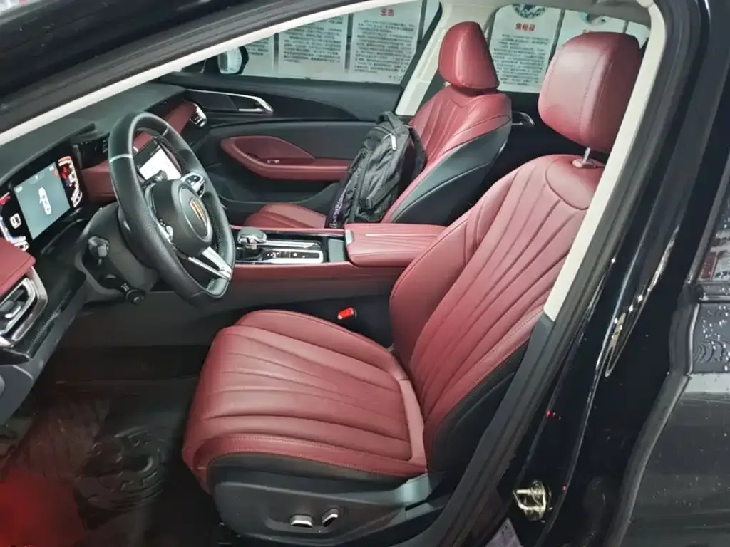 Hongqi Hongqi H5 2025 1.5T DCT Mystic Shadow 2 Million Edition — Фото автомобиля 14
