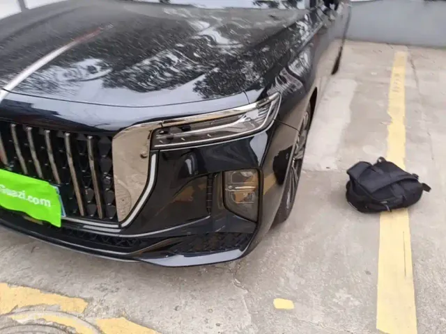 Hongqi H9 — Фото автомобиля 23