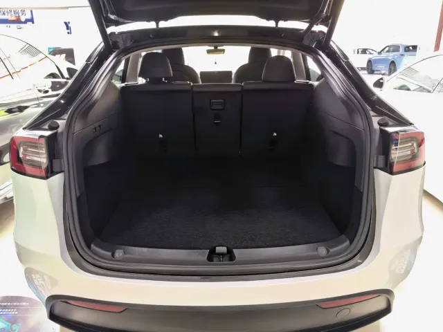 Tesla Model Y — Фото автомобиля 16