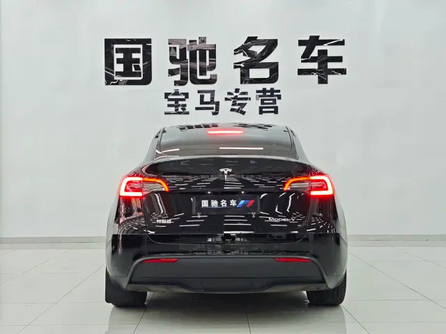 Tesla Model Y — Фото автомобиля 5