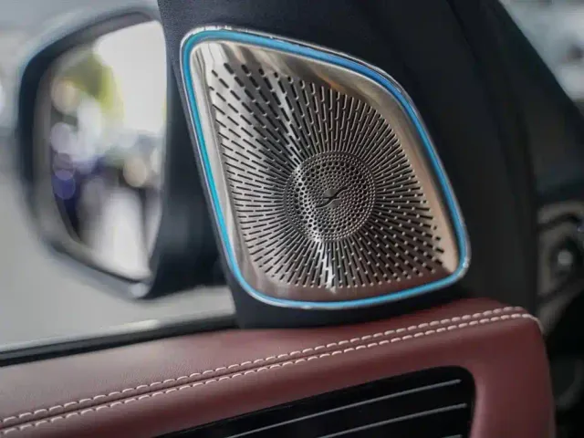 Mercedes-Benz Maybach GLS — Фото автомобиля 12