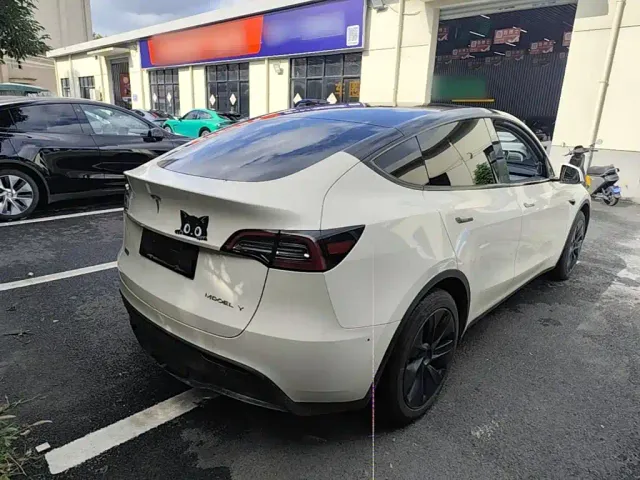 Tesla Model Y — Фото автомобиля 6