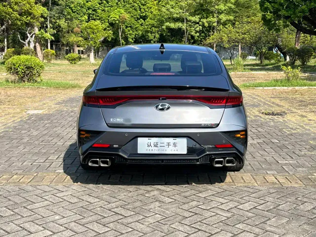 Hyundai Fista — Фото автомобиля 5