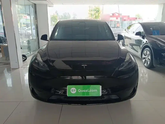 Tesla Model Y — Фото автомобиля 2
