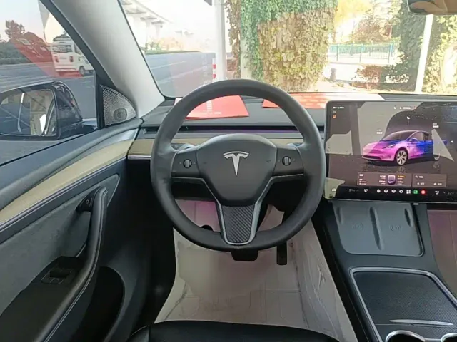 Tesla Model Y — Фото автомобиля 10