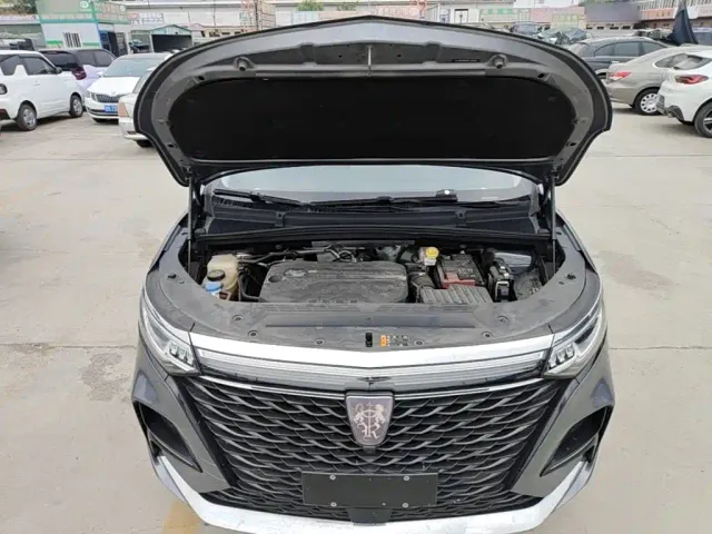 Roewe iMAX8 — Фото автомобиля 19