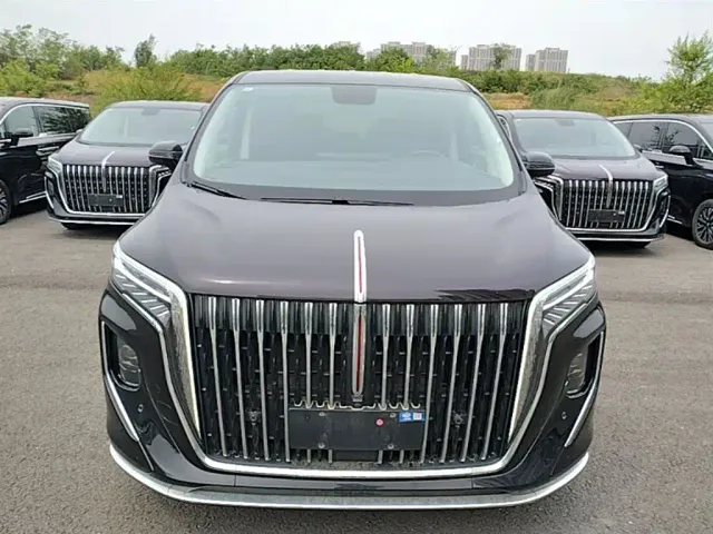 Hongqi HQ9 PHEV — Фото автомобиля 2