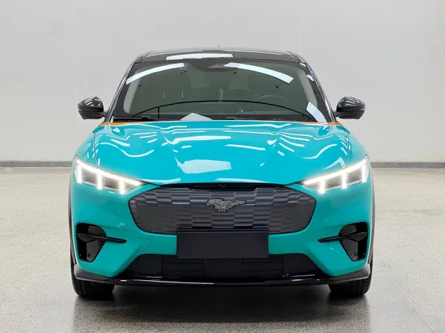 Ford Mustang Mach-E — Фото автомобиля 2