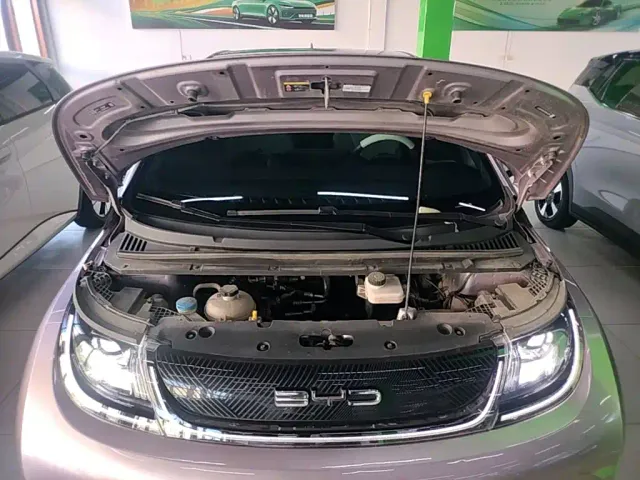 BYD Dolphin — Фото автомобиля 19