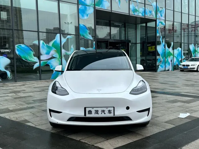 Tesla Model Y — Фото автомобиля 2