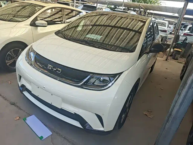 Фотография автомобиля — BYD Dolphin