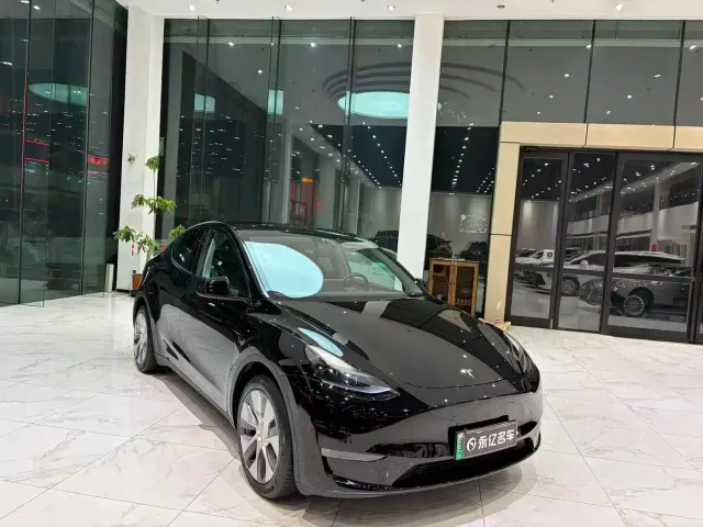 Tesla Model Y — Фото автомобиля 3