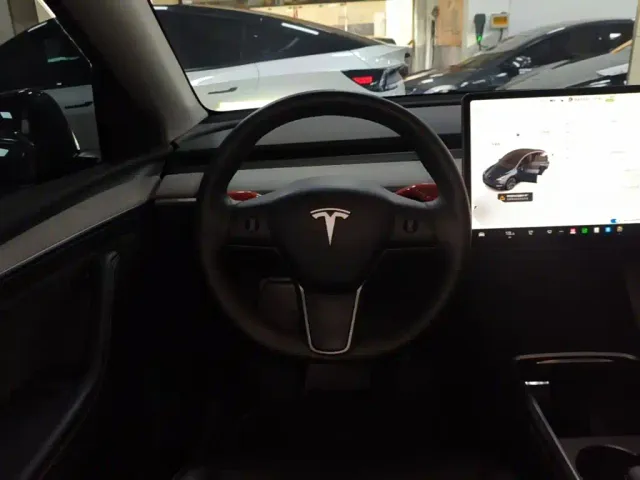 Tesla Model Y — Фото автомобиля 10