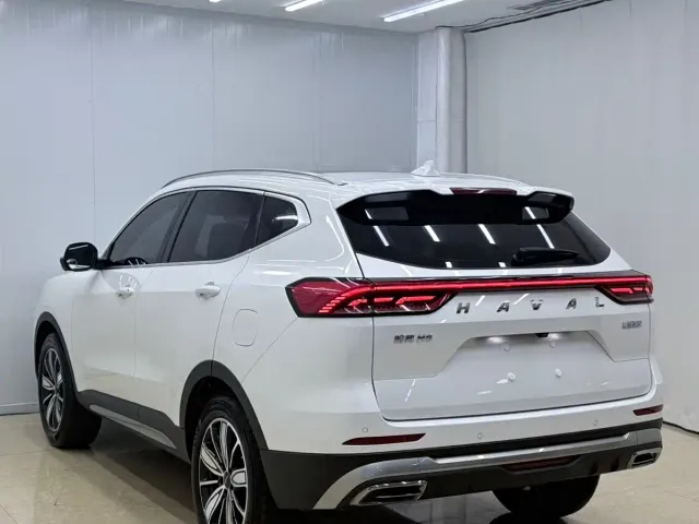 Haval H6 — Фото автомобиля 6