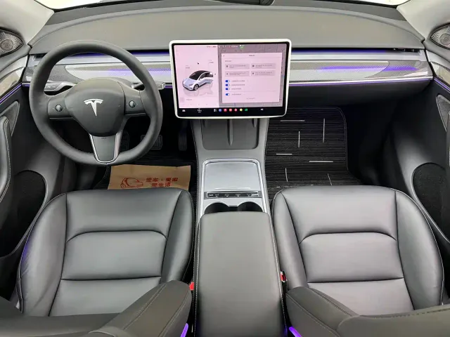 Tesla Model Y — Фото автомобиля 10