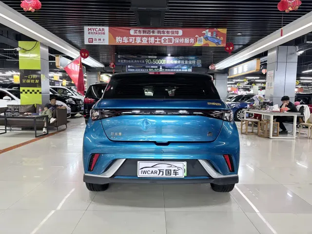 BYD Dolphin — Фото автомобиля 9