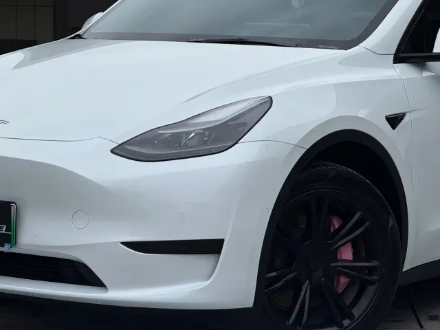 Tesla Model Y — Фото автомобиля 2