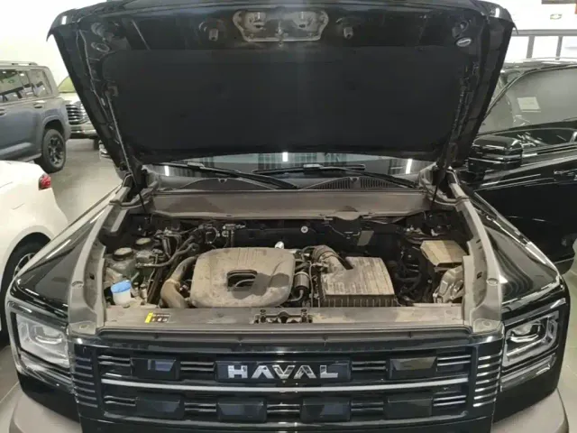 Haval Raptor — Фото автомобиля 19