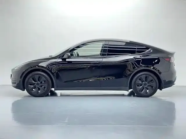 Tesla Model Y — Фото автомобиля 7