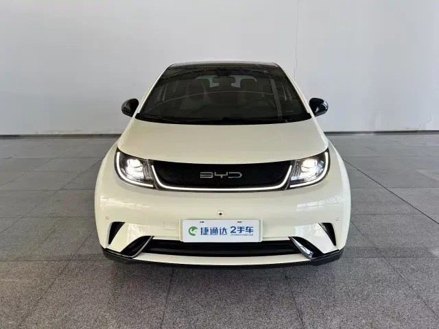 BYD Dolphin — Фото автомобиля 26