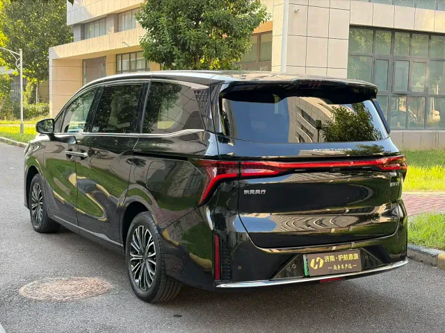Forthing Xinghai V9 — Фото автомобиля 4