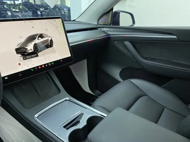 Tesla Model Y — Фото автомобиля 29