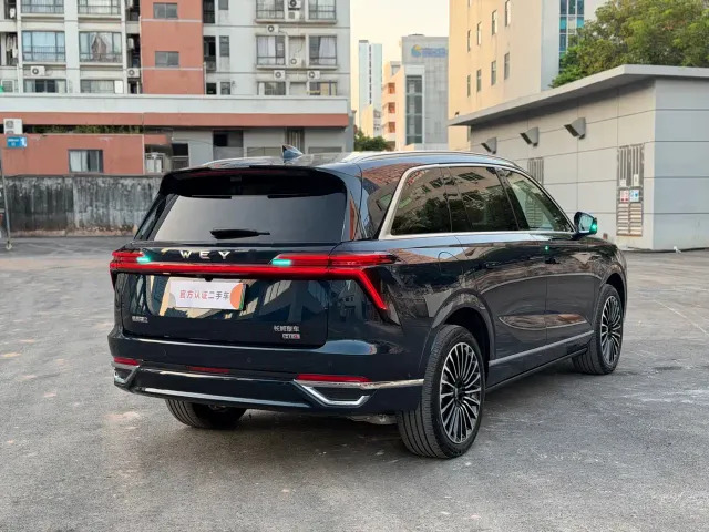 Wey Lanshan — Фото автомобиля 13