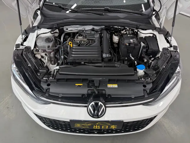 Volkswagen Lamando — Фото автомобиля 19