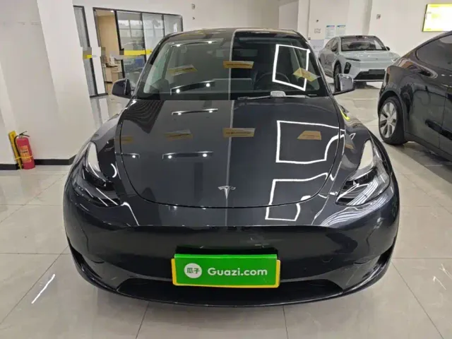 Tesla Model Y — Фото автомобиля 2