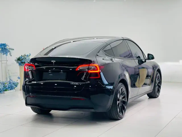 Tesla Model Y — Фото автомобиля 9