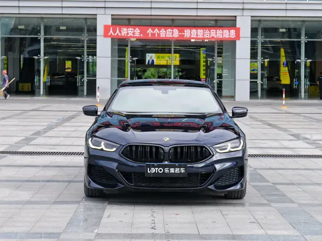 BMW 8 Series — Фото автомобиля 2