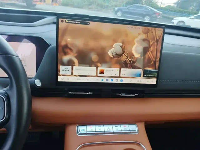 Haval Xiaolong MAX — Фото автомобиля 12