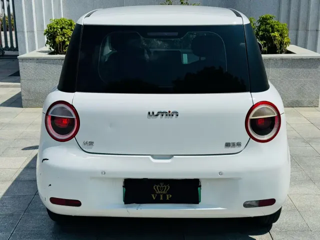 Changan Qiyuan Changan Lumin 2023 Model 205km Fragrant Edition — Фото автомобиля 7