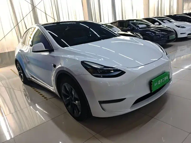 Tesla Model Y — Фото автомобиля 3