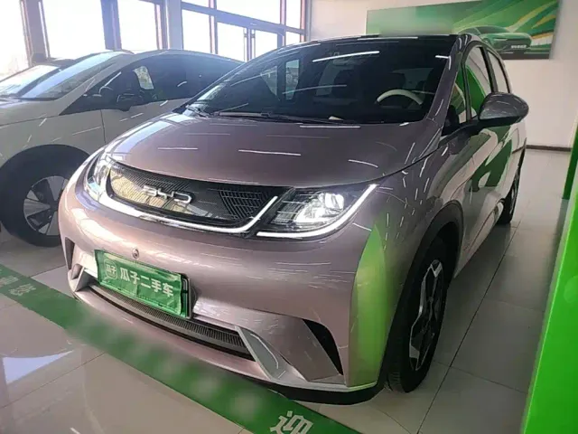 Фотография автомобиля — BYD Dolphin