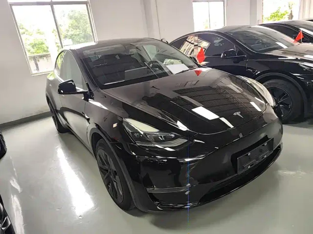 Tesla Model Y — Фото автомобиля 3