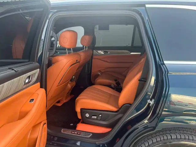 Wey Lanshan — Фото автомобиля 5
