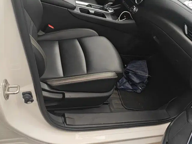 Nissan Sylphy — Фото автомобиля 8