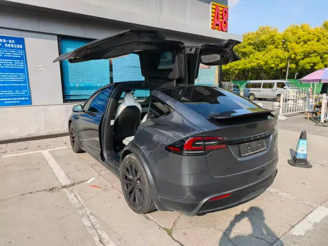 Tesla Model X — Фото автомобиля 13