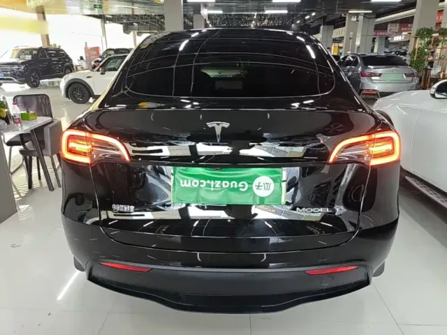 Tesla Model Y — Фото автомобиля 5